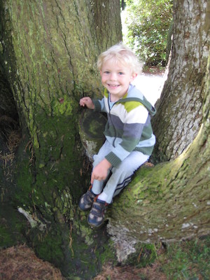 Happy Cole in a tree (07-12-2009 11:43)