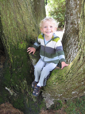 Gleeful Cole in a tree (07-12-2009 11:43)