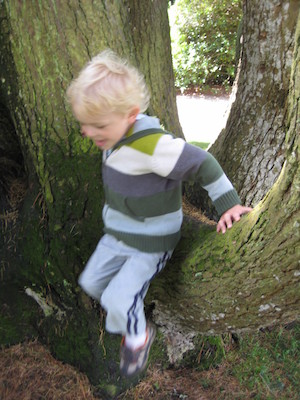 Cole jumping out of a tree (07-12-2009 11:44)