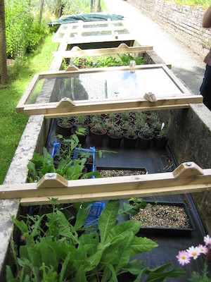 Cold frames at Trevarno (07-12-2009 12:39)