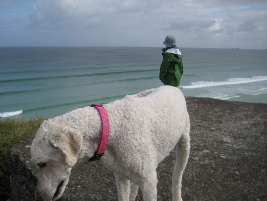 Cole gazing out to sea while Bazzle sniffs (07-14-2009 08:54)
