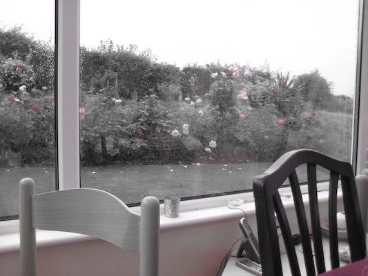 Dad plays with color (07-14-2009 20:14)