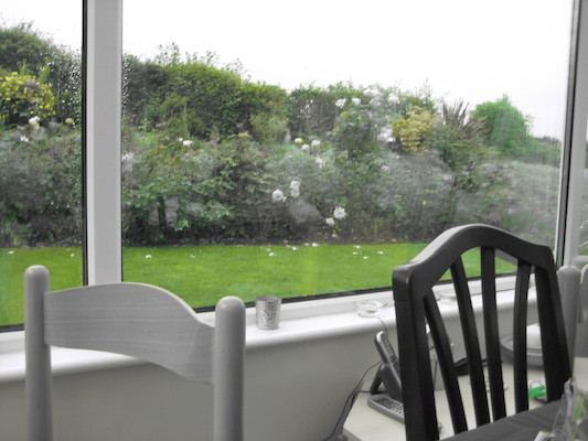 Dad plays with color (07-14-2009 20:15)