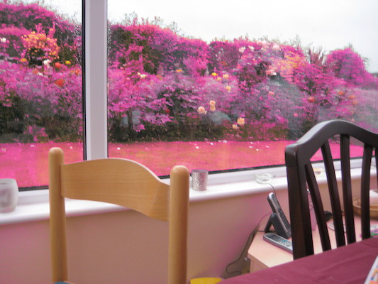 Dad plays with color (07-14-2009 20:16)