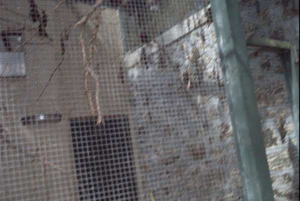 IMG_1344 (07-12-2009 16:38)