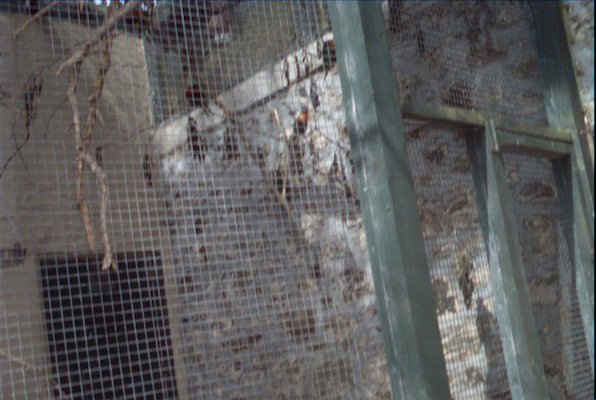 IMG_1345 (07-12-2009 16:38)