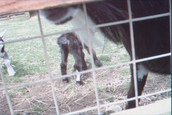 IMG_1346 (07-12-2009 16:38)