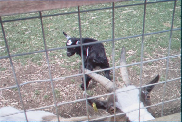 IMG_1347 (07-12-2009 16:38)