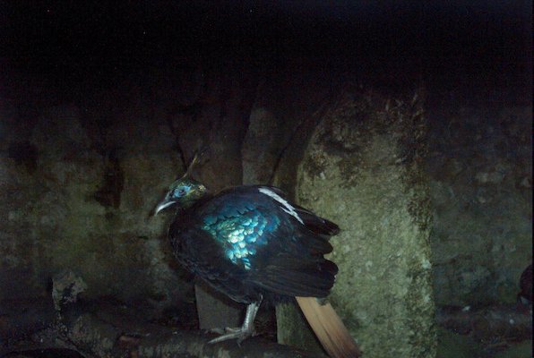 IMG_1348 (07-12-2009 16:39)