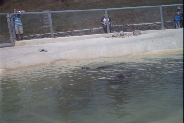 IMG_1350 (07-12-2009 16:39)