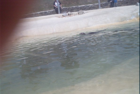 IMG_1351 (07-12-2009 16:39)