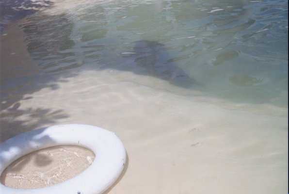 IMG_1353 (07-12-2009 16:39)