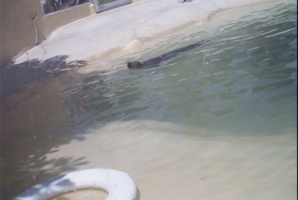 IMG_1354 (07-12-2009 16:40)