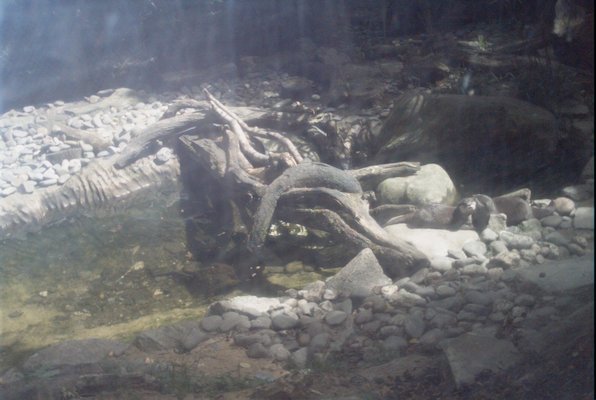 IMG_1356 (07-12-2009 16:40)