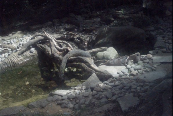 IMG_1357 (07-12-2009 16:40)