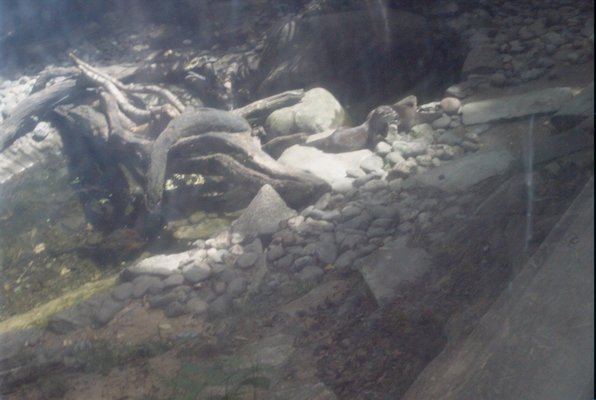 IMG_1358 (07-12-2009 16:40)