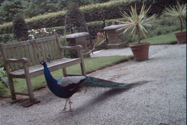 IMG_1360 (07-12-2009 16:41)