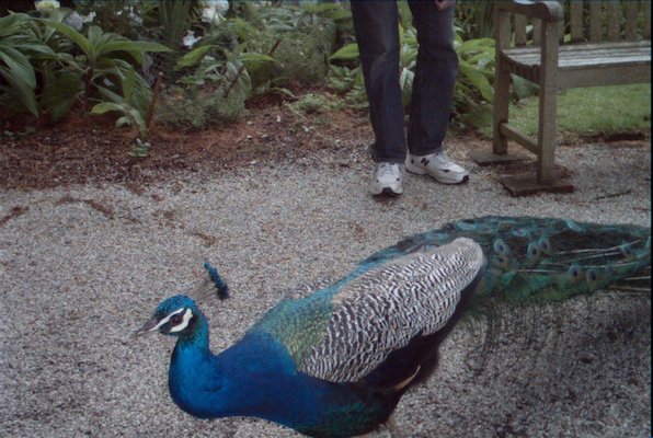 IMG_1361 (07-12-2009 16:41)