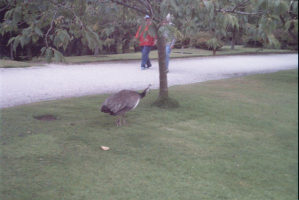 IMG_1363 (07-12-2009 16:41)