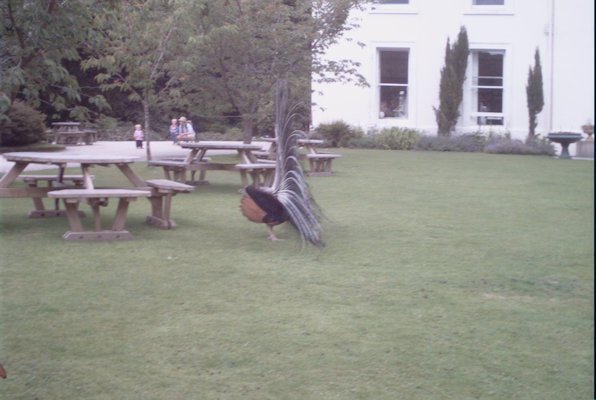 IMG_1364 (07-12-2009 16:41)