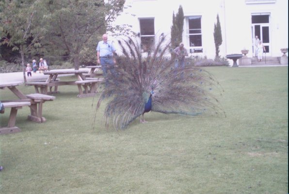 IMG_1366 (07-12-2009 16:42)