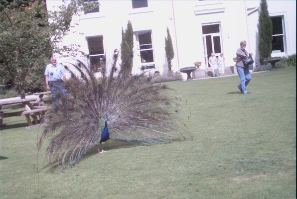 IMG_1367 (07-12-2009 16:42)