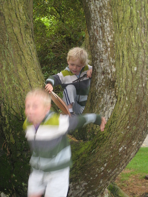 Tim and Cole in a tree (07-12-2009 05:16)