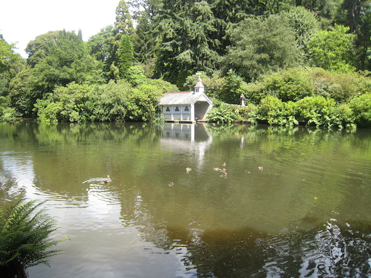 Ducklings (07-12-2009 06:20)