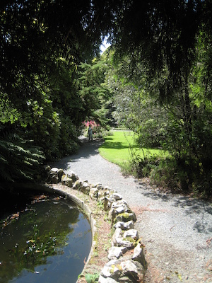 Cole and his stick (07-12-2009 06:30)