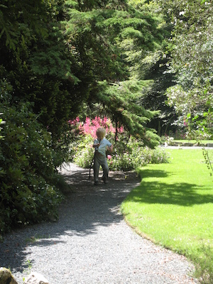 Cole and his stick (07-12-2009 06:30)