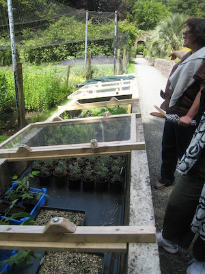 Cold frames (07-12-2009 06:39)