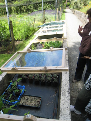 Cold frames (07-12-2009 06:39)