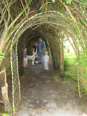 Tim, Bazzle, Donna, Granddad and Cole in the tree tunnel (07-12-2009 06:41)