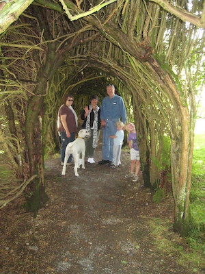 Xine, Tim, Bazzle, Donna, Granddad and Cole in the tree tunnel (07-12-2009 06:41)