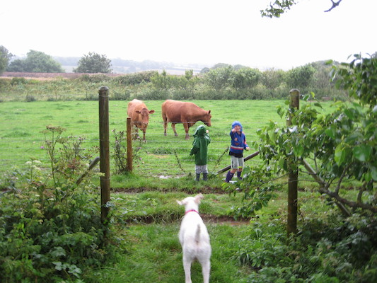 Bazzle, Cole and Tim looking at the cows (07-16-2009 14:42)