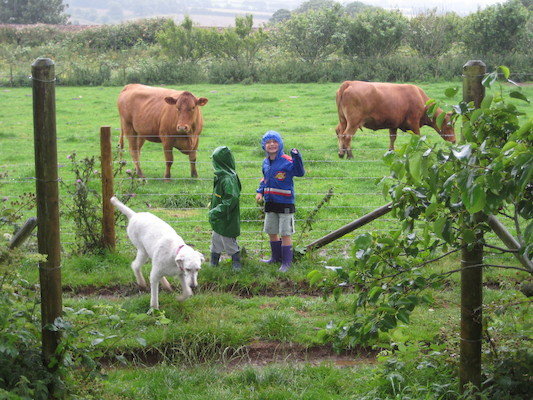 Bazzle, Cole and Tim looking at the cows (07-16-2009 14:42)
