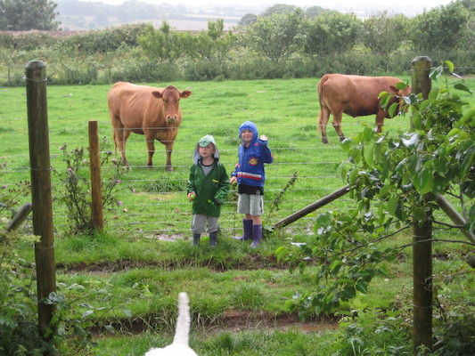 Bazzle, Cole and Tim looking at the cows (07-16-2009 14:42)