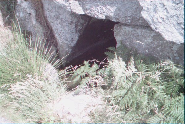 IMG_1377 (07-18-2009 16:26)