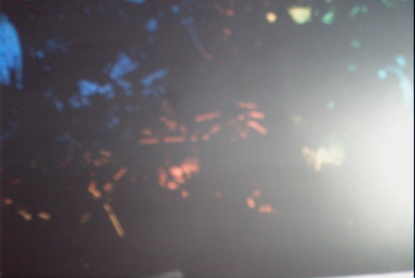 IMG_1394 (07-18-2009 16:30)