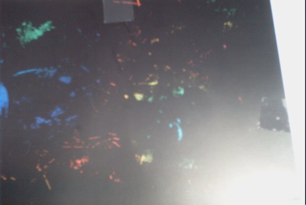 IMG_1395 (07-18-2009 16:30)