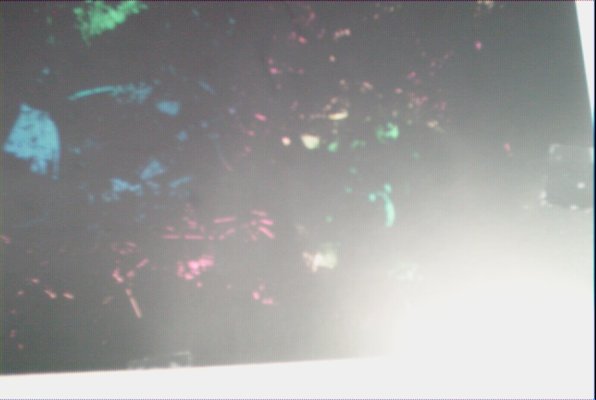 IMG_1396 (07-18-2009 16:31)