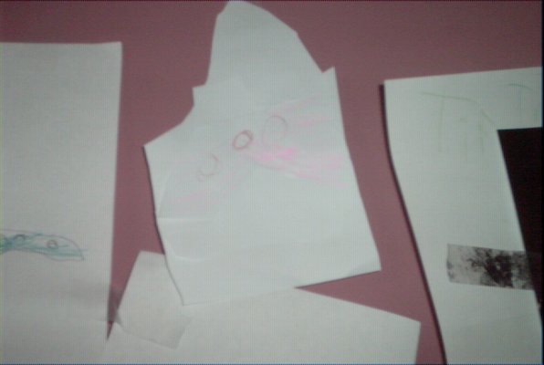 IMG_1397 (07-18-2009 16:31)