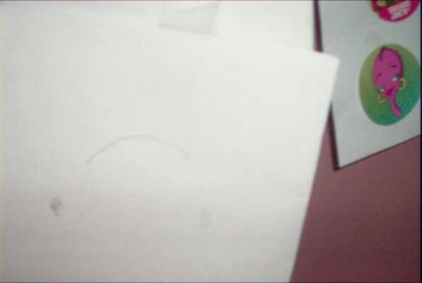 IMG_1399 (07-18-2009 16:31)