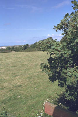 Cornwall landscape