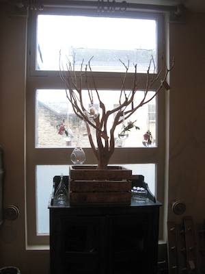 Garden Store (07-21-2009 09:21)