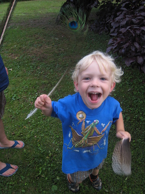 Peacock Mook (07-22-2009 18:33)