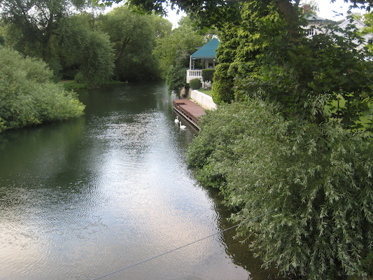 Swans from the Monkey Island bridge (07-22-2009 19:03)