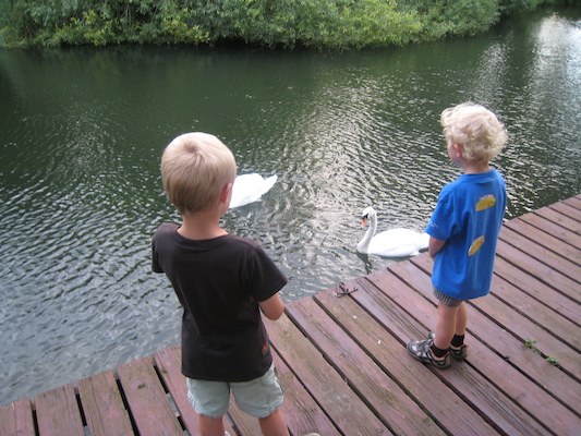 Tim and Cole feeding the swans (07-22-2009 19:04)