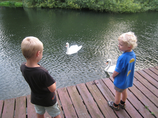 Tim and Cole feeding the swans (07-22-2009 19:04)