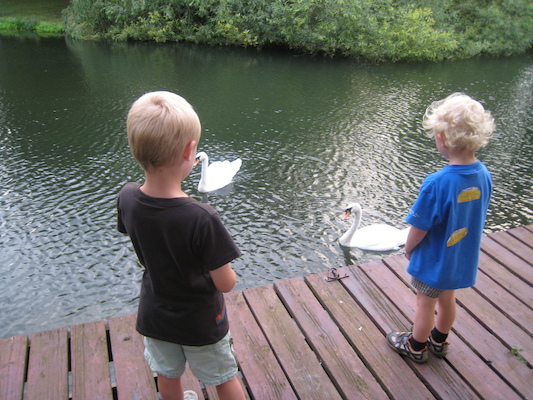 Tim and Cole feeding the swans (07-22-2009 19:04)